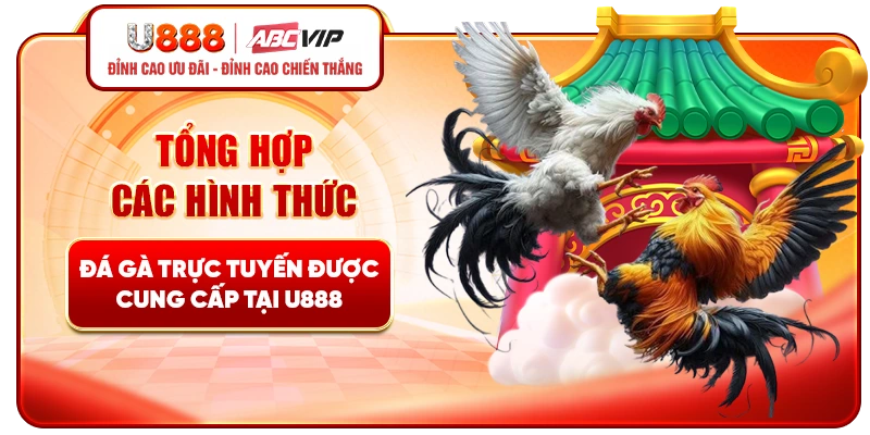 Tổng hợp các hình thức đá gà U888 trực tuyến được cung cấp
